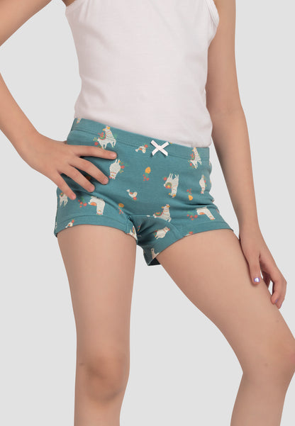 TRESNOVA Cotton Lycra Anti-microbial Finish & Smart Waistband Technology Floral Printed Soft Boxer Panties Pack of 3 -Tealblue Navyblue & Rosepink