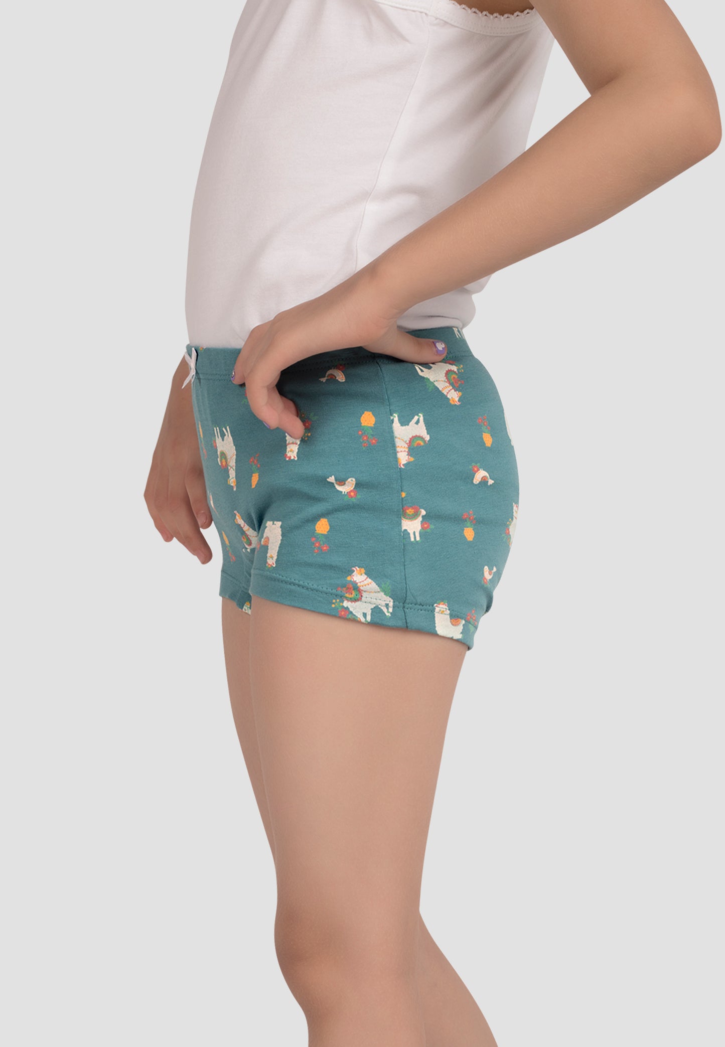 TRESNOVA Cotton Lycra Anti-microbial Finish & Smart Waistband Technology Floral Printed Soft Boxer Panties Pack of 3 -Tealblue Navyblue & Rosepink