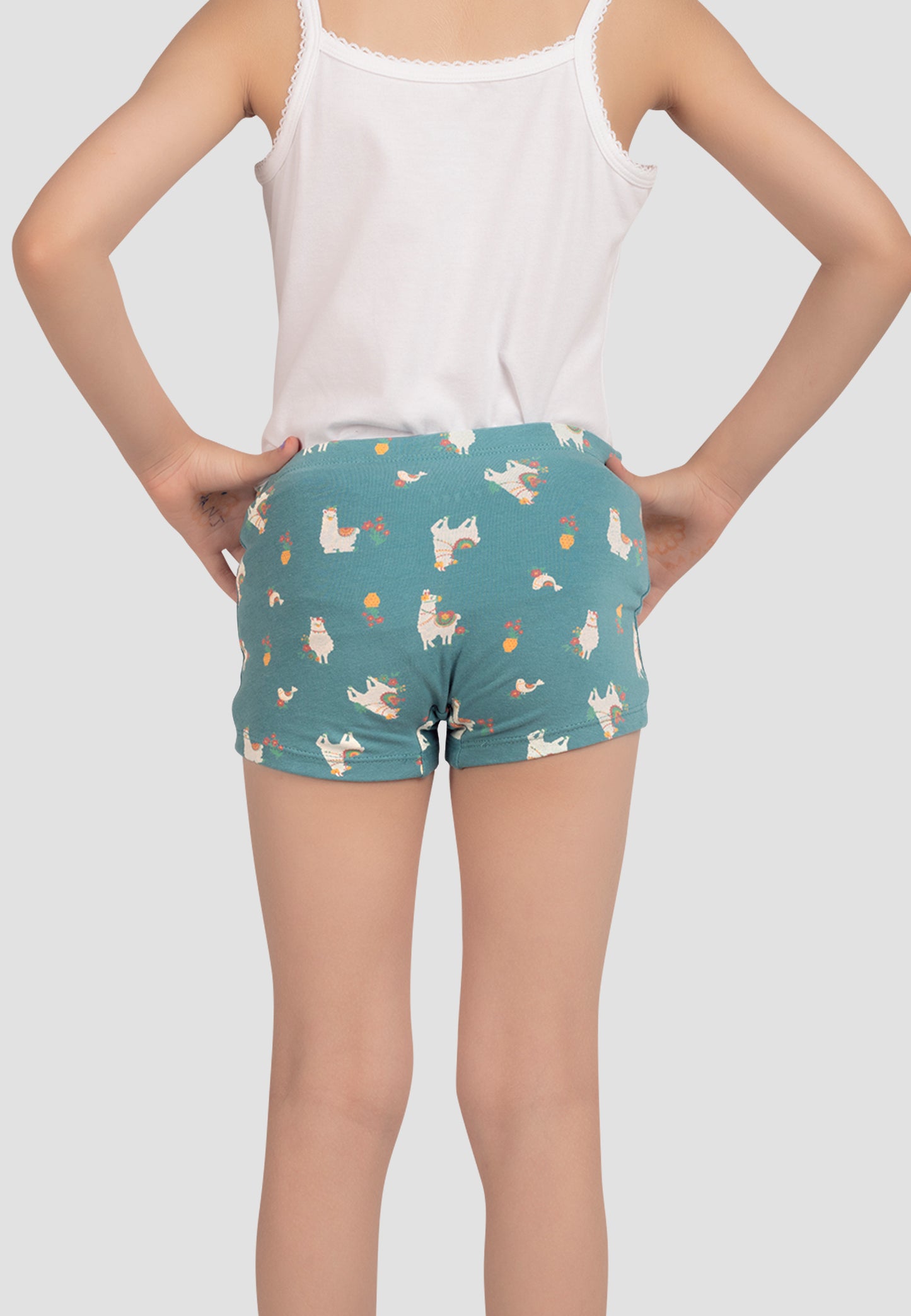 TRESNOVA Cotton Lycra Anti-microbial Finish & Smart Waistband Technology Floral Printed Soft Boxer Panties Pack of 3 -Tealblue Navyblue & Rosepink