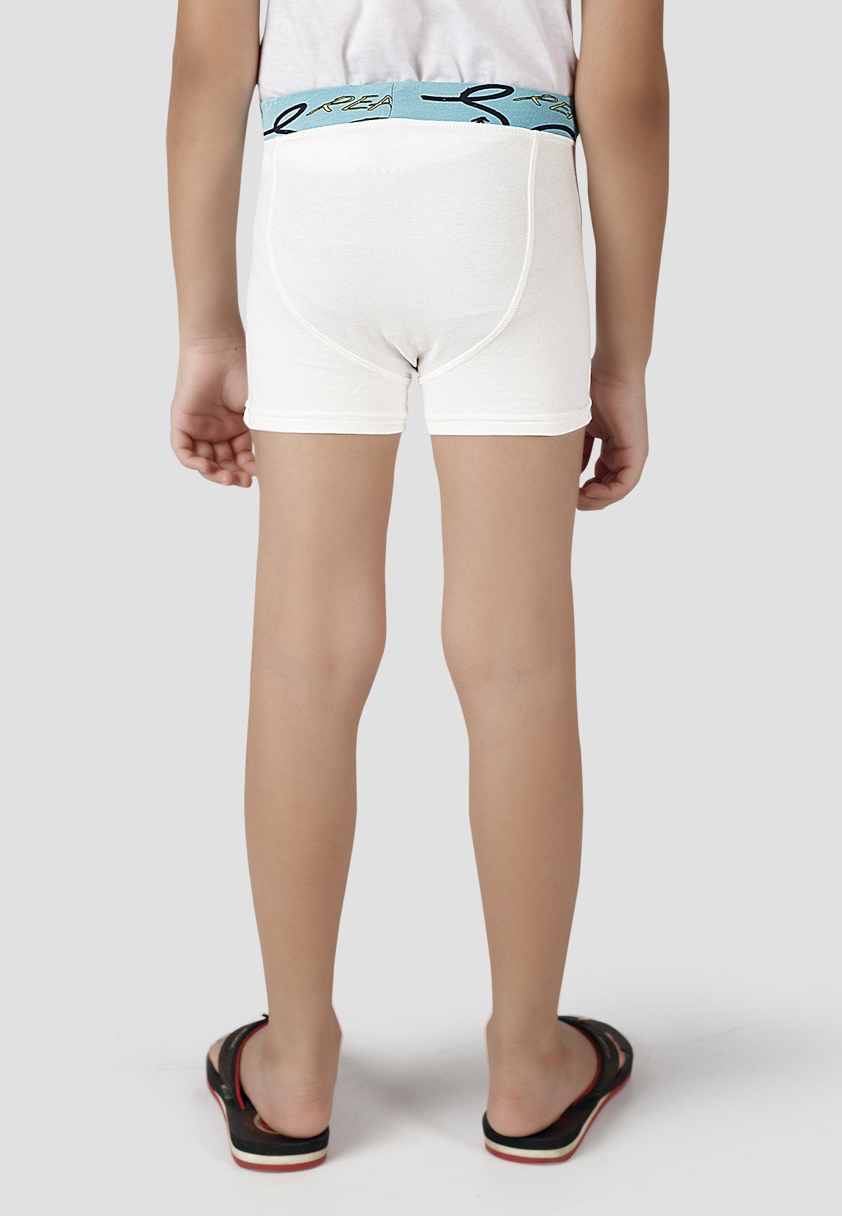 Soft Cotton Boxer Briefs for Boys ( Pack of 3) |  Anti-Bacterial Chemical Free Kids Underwear | Ages 2-16Y