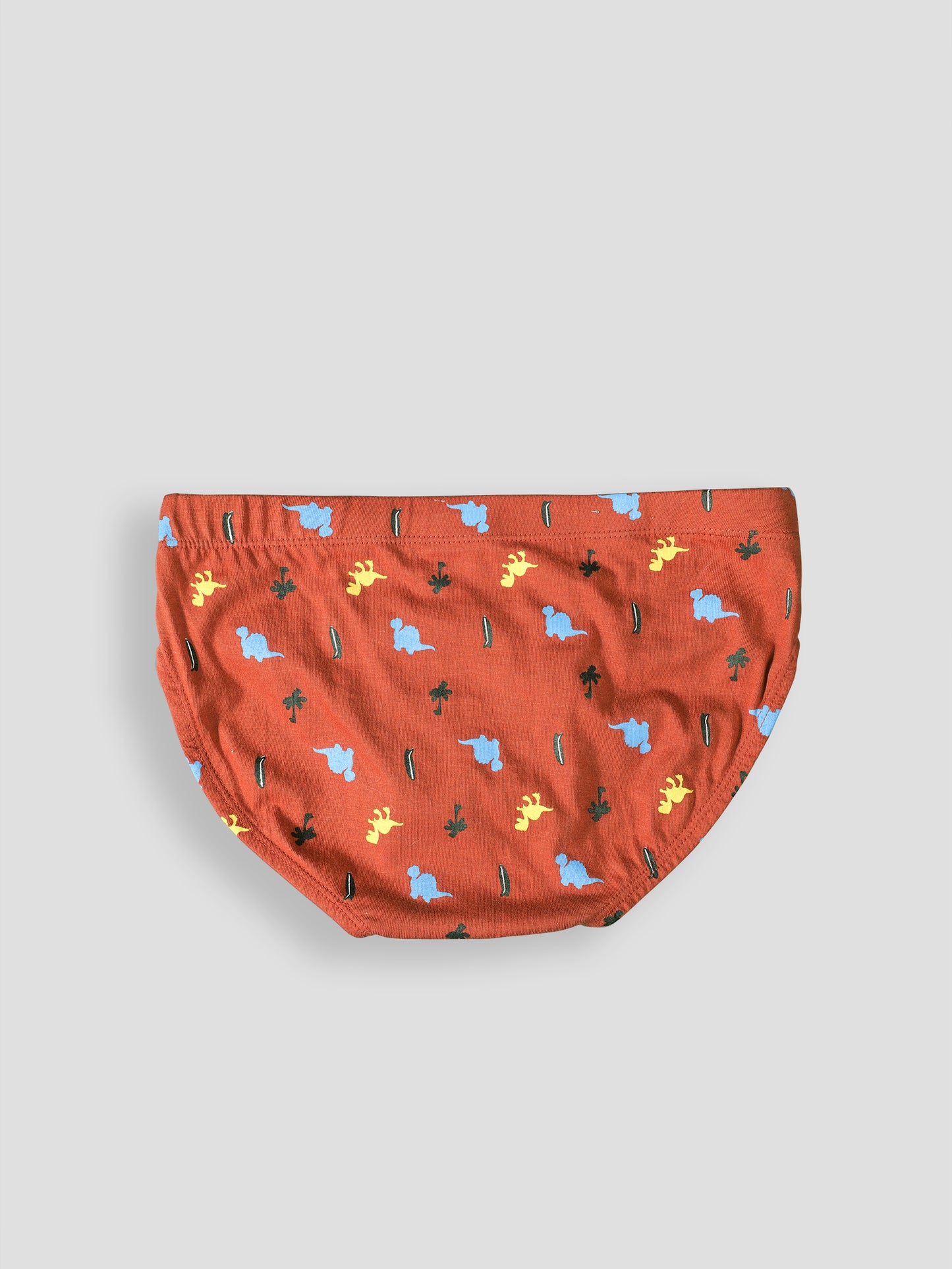 Boys’ Soft Dinosaur Print Cotton Briefs | Kids Underwear with Anti-Microbial Finish & Smart Waistband Technology - Pack of 3