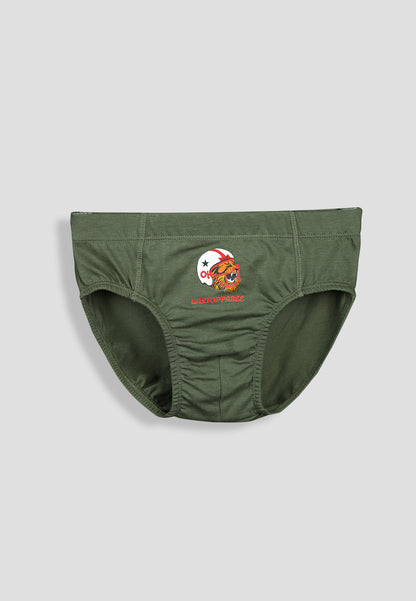 Boys’ Soft Tiger Print Cotton Briefs | Kids Underwear with Anti-Microbial Finish & Smart Waistband Technology - Pack of 3