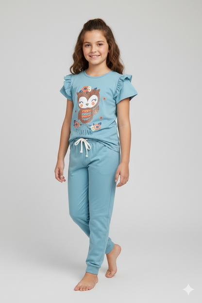 Tresnova Cotton Knit Half Sleeves Antimicrobial Finish Owl Printed Coordinating T-shirt And Joggers Set-Tealblue