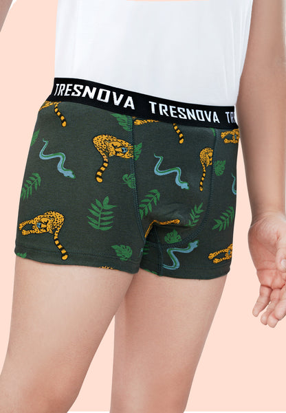 TRESNOVA Cotton Anti-microbial Finish & Smart Waistband Technology Dinosaur Printed Soft Boxer Briefs Pack of 3 -Green, Orange, Yellow