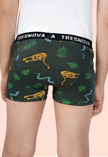 TRESNOVA Cotton Anti-microbial Finish & Smart Waistband Technology Dinosaur Printed Soft Boxer Briefs Pack of 3 -Green, Orange, Yellow