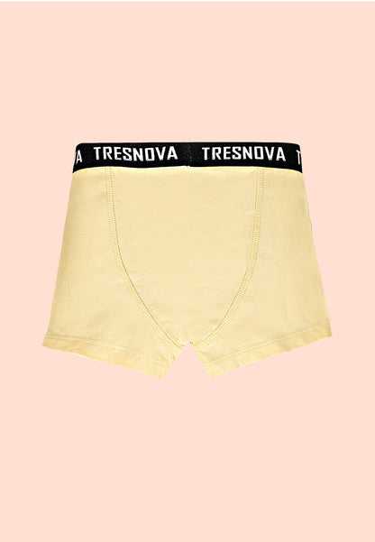 TRESNOVA Cotton Anti-microbial Finish & Smart Waistband Technology Dinosaur Printed Soft Boxer Briefs Pack of 3 -Green, Orange, Yellow