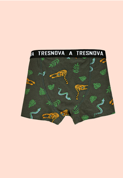TRESNOVA Cotton Anti-microbial Finish & Smart Waistband Technology Dinosaur Printed Soft Boxer Briefs Pack of 3 -Green, Orange, Yellow