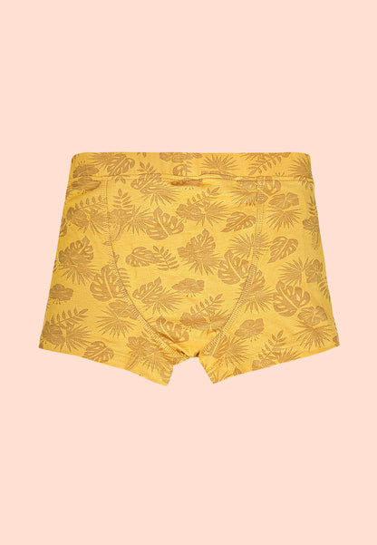 TRESNOVA Cotton Anti-microbial Finish & Smart Waistband Technology Leaf Printed Soft Boxer Briefs Pack of 3 -Yellow, Blue, Navy