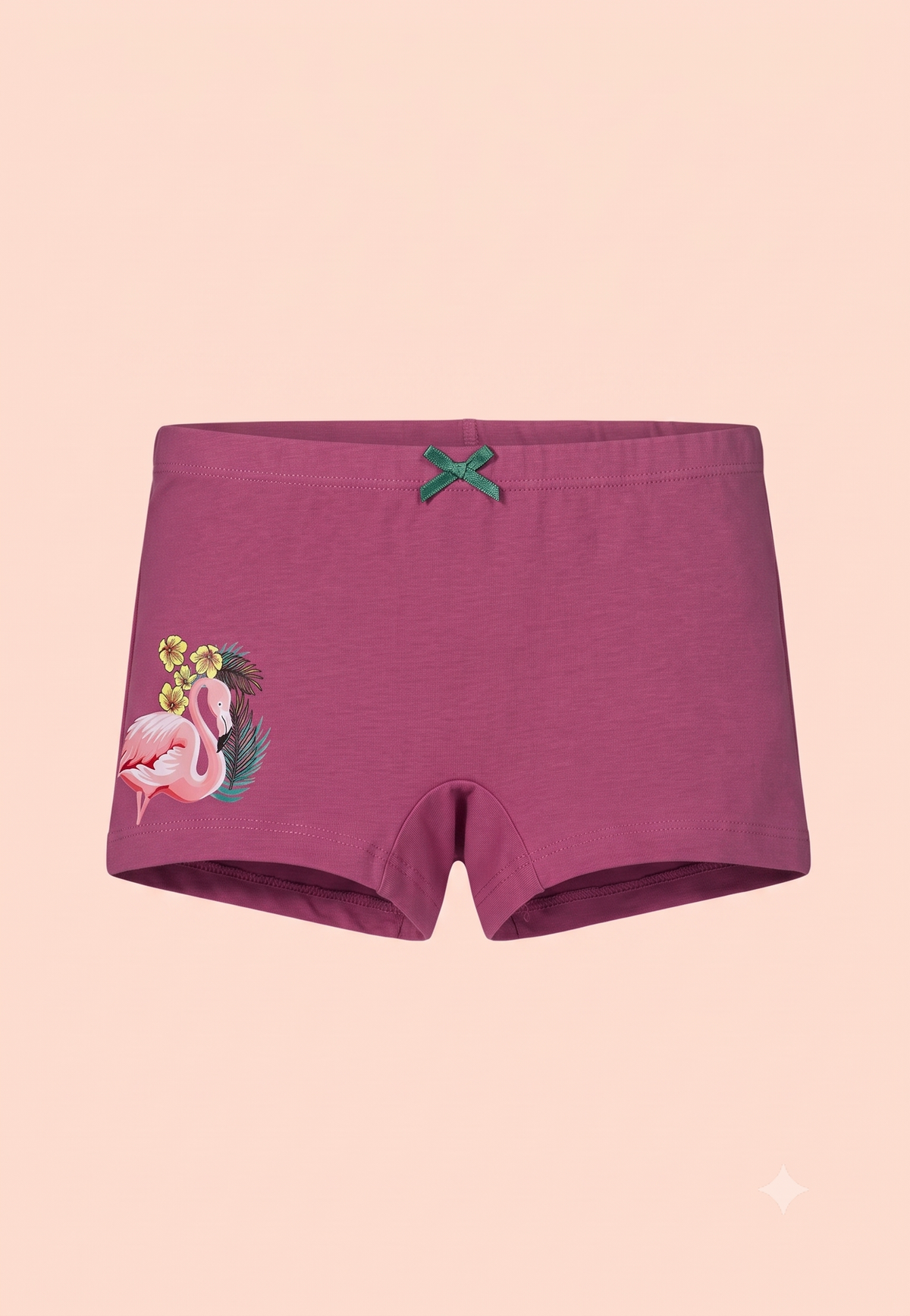 Floral Print Girls Boxer Briefs – Pack of 6 (Cotton Lycra)